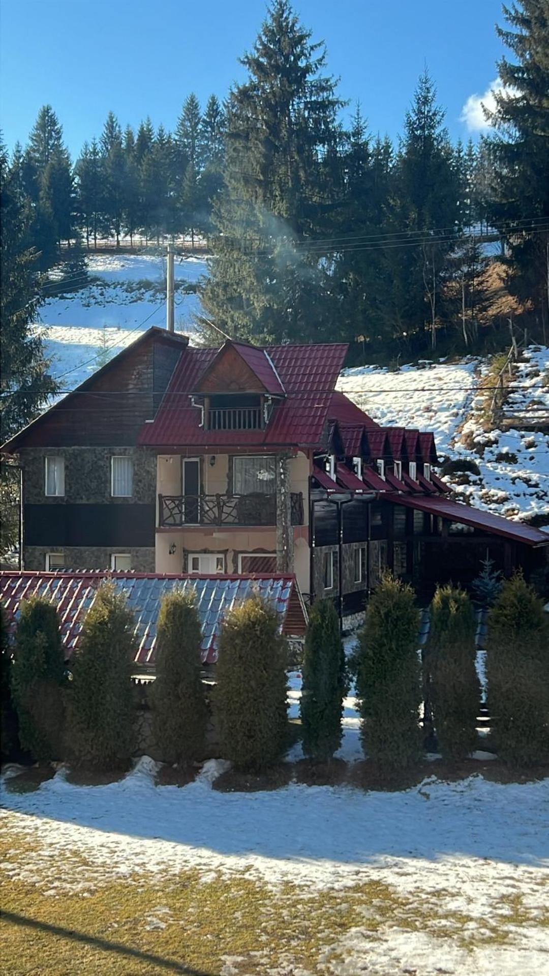 Vila Speranta Arieşeni エクステリア 写真